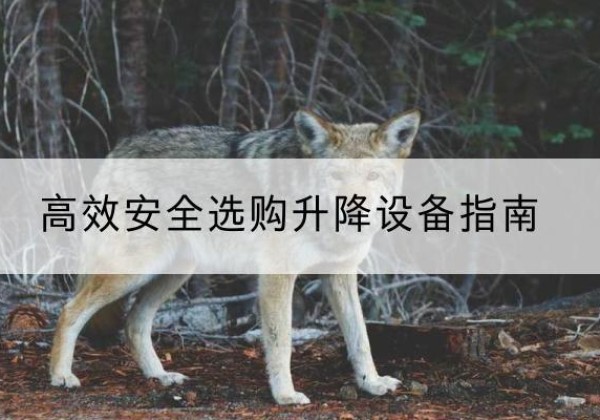 通江升降货梯厂家推荐-*安全选购升降设备指南