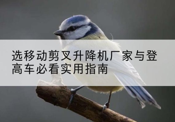 通江电动升降机厂家-选移动剪叉升降机厂家与登高车必看实用指南