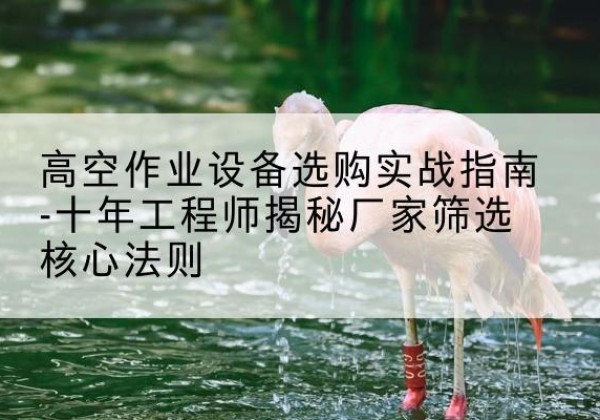 通江剪叉式升降机厂家-高空作业设备选购实战指南-十年工程师揭秘厂家筛选核心法则